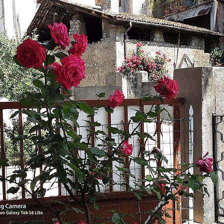 B&B Anna Rovere della Luna Exterior foto